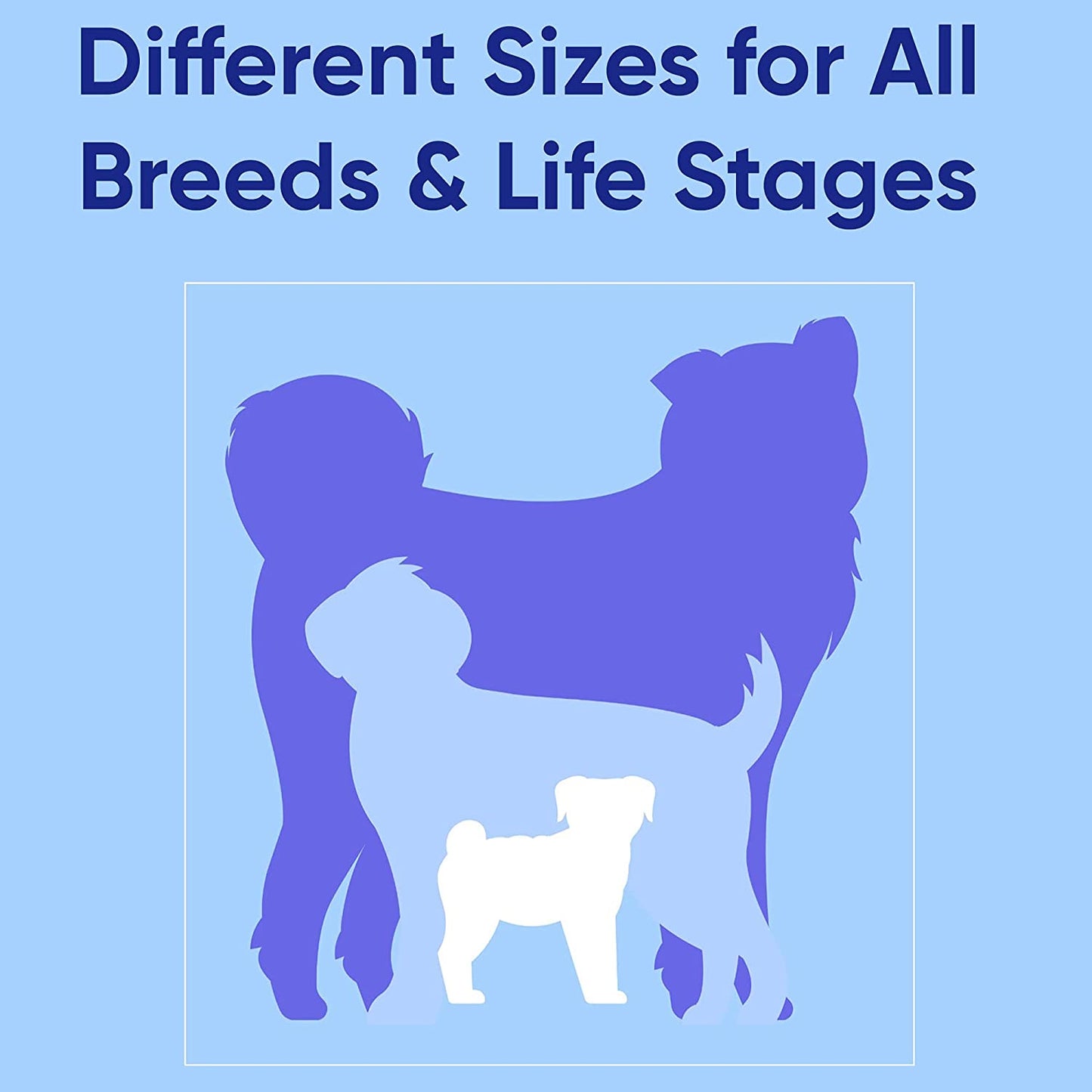 6 FT Solid Color Leash - Comfortable Handle Dog Training Leash 6 Ft Medium/Large Pink