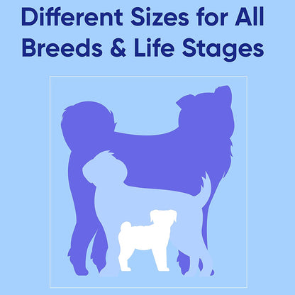 6 FT Solid Color Leash - Comfortable Handle Dog Training Leash 6 Ft Medium/Large Pink