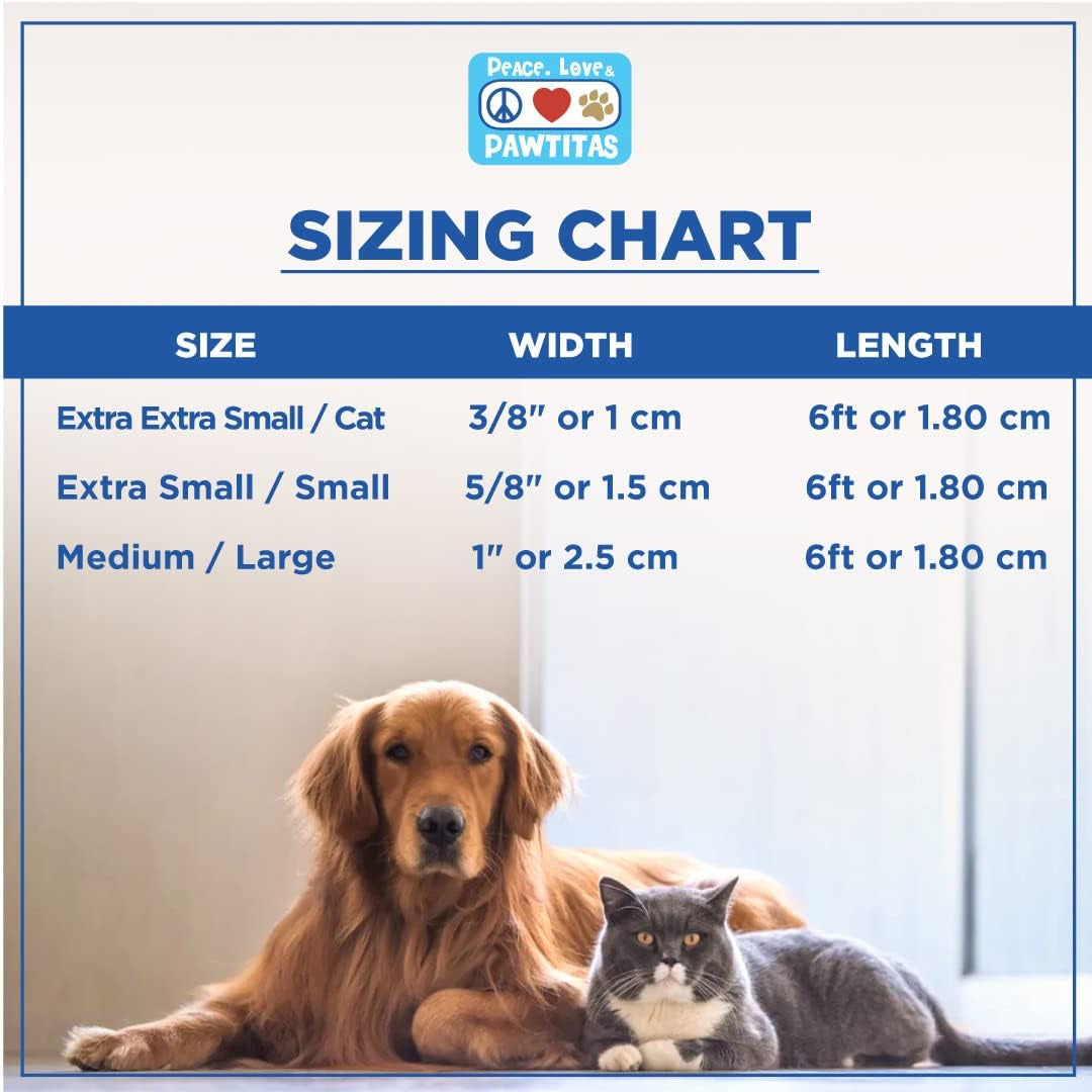 6 FT Solid Color Leash - Comfortable Handle Dog Training Leash 6 Ft Medium/Large Pink