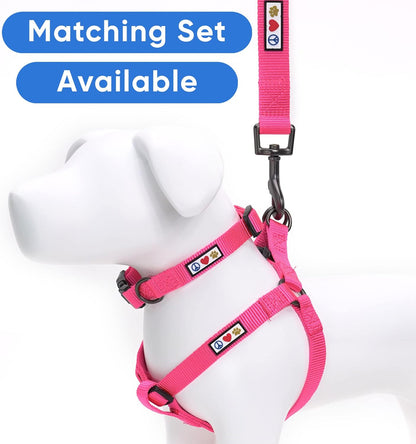 6 FT Solid Color Leash - Comfortable Handle Dog Training Leash 6 Ft Medium/Large Pink